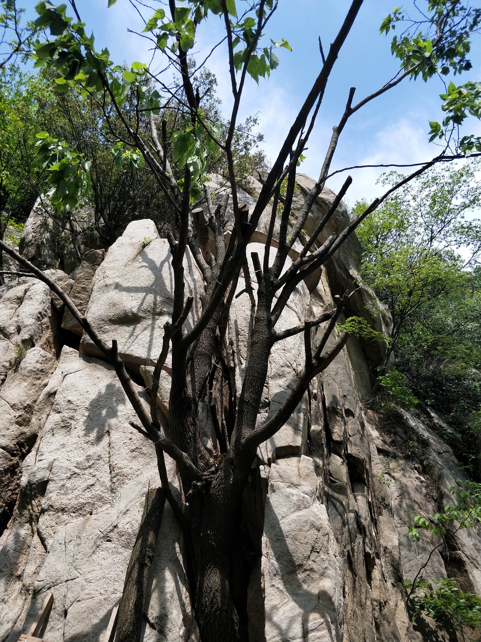 cLP-PaWdyGc-ROIphwxB_fKSMkNPh2oVRJGuLWVySVRtjEuB8F3F8Q-S_PEfw4FV