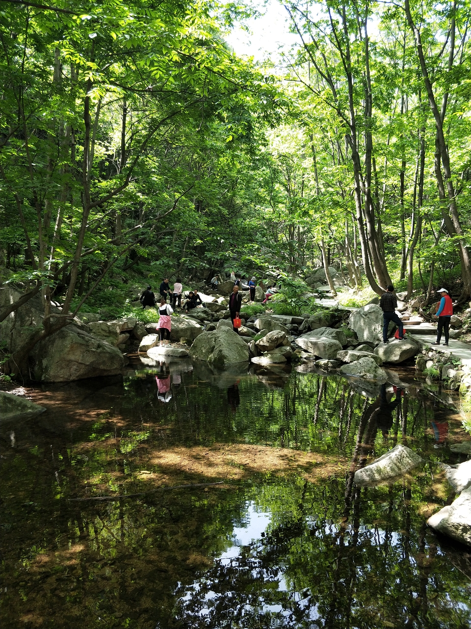 ZC-e8Eui9Pi75asY8VJMaNM9_pDL85odKxCraK1QdOy1RwwEDBfi68U5D-qHZYJi