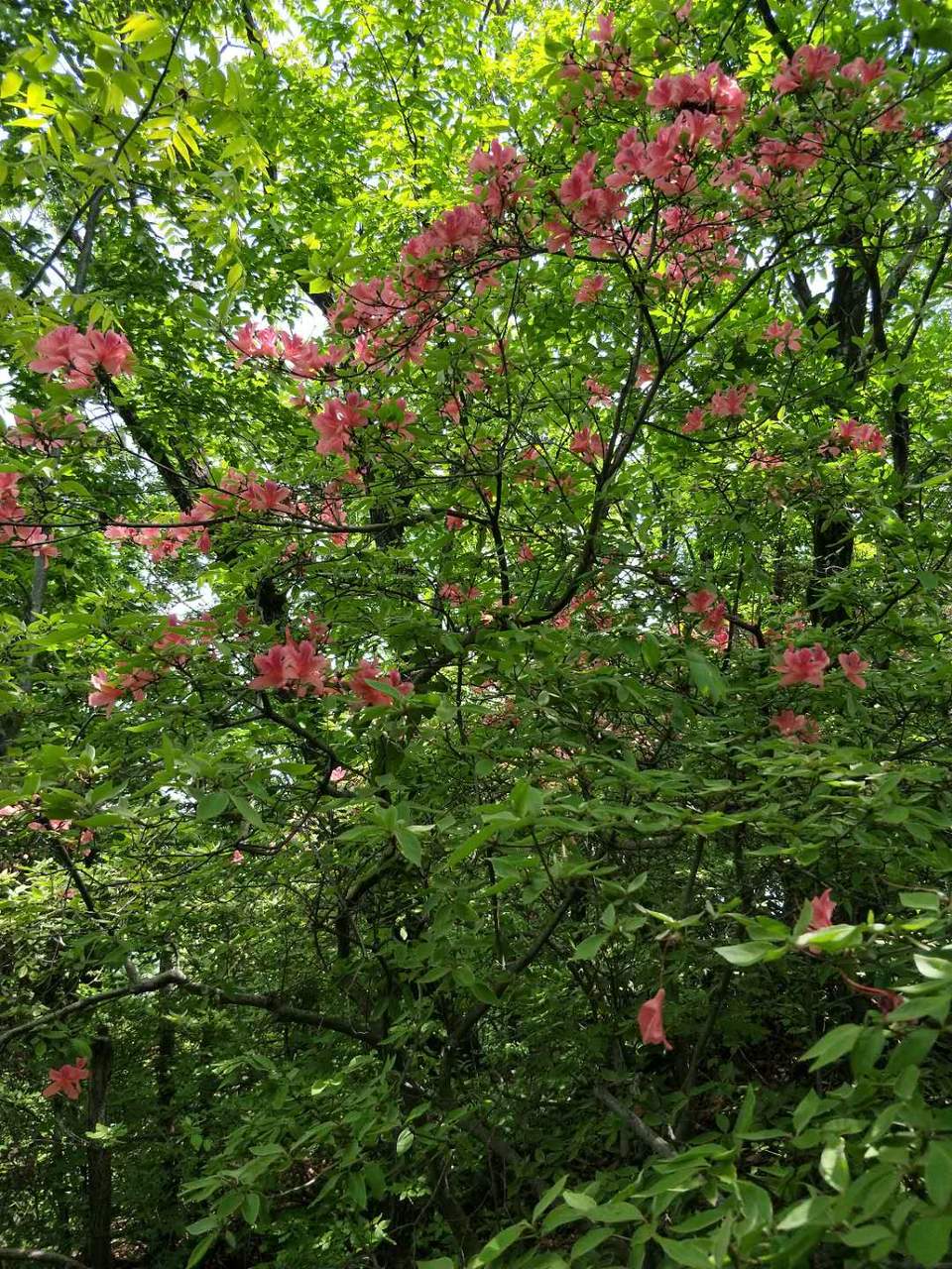 sawqfDc7IMcJVa7n8-P5BU_QBUu_1KmWTfcqWV_dutQosG32RGK-kXukplvpZ5jr