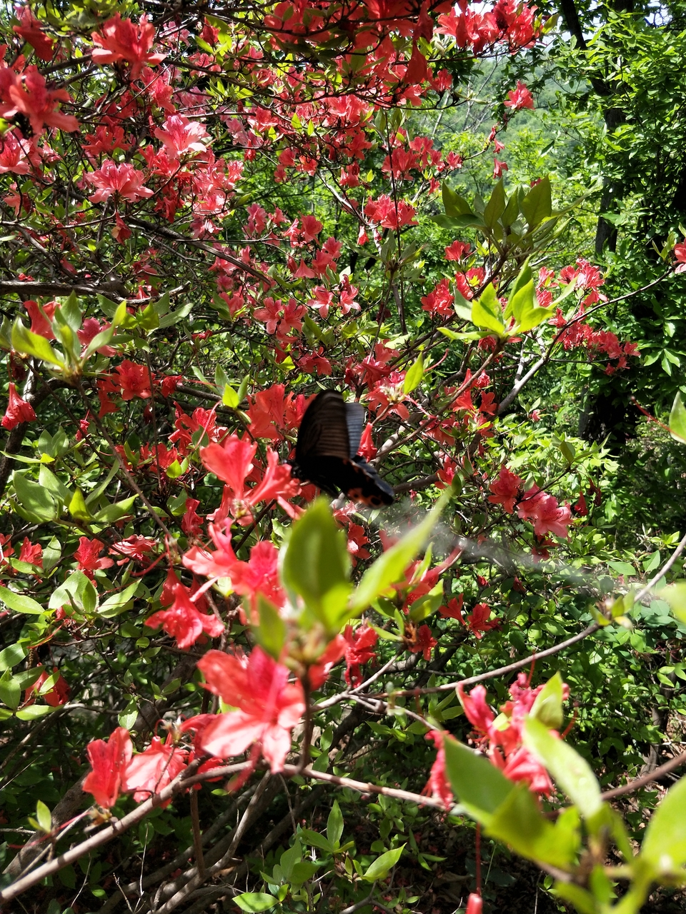 kfnFj1258GA8akFIWuVkL9OerCVmUzMFOGolpf0knKLH_jrKlo3vxKid_0hKs_QV