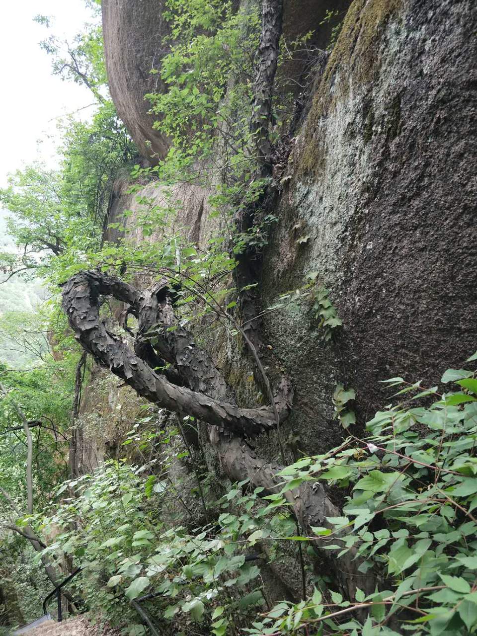 EO3mTpgUoJVkGv2W8EnQ2O6ndydlqB6TliElMDIy3CXcp32lDlRSp9slkC7n8zcM