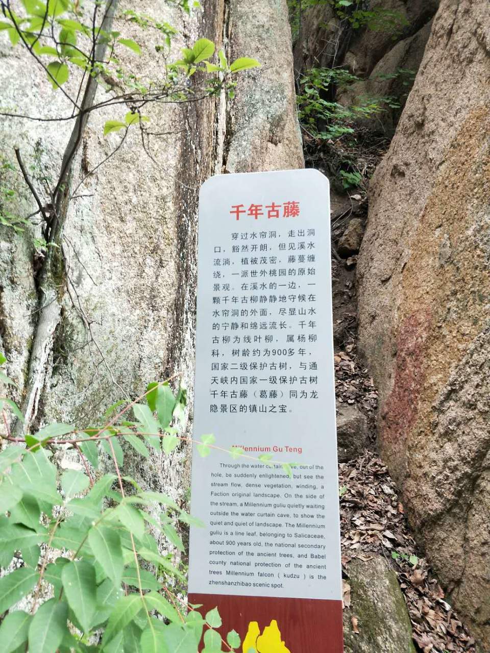 GHgZnc3dhUjXAfCq4FYzgqp4CnrJiC7cNhrwJv8JEn0hwxmuxXrNB6f2lWBlijGf