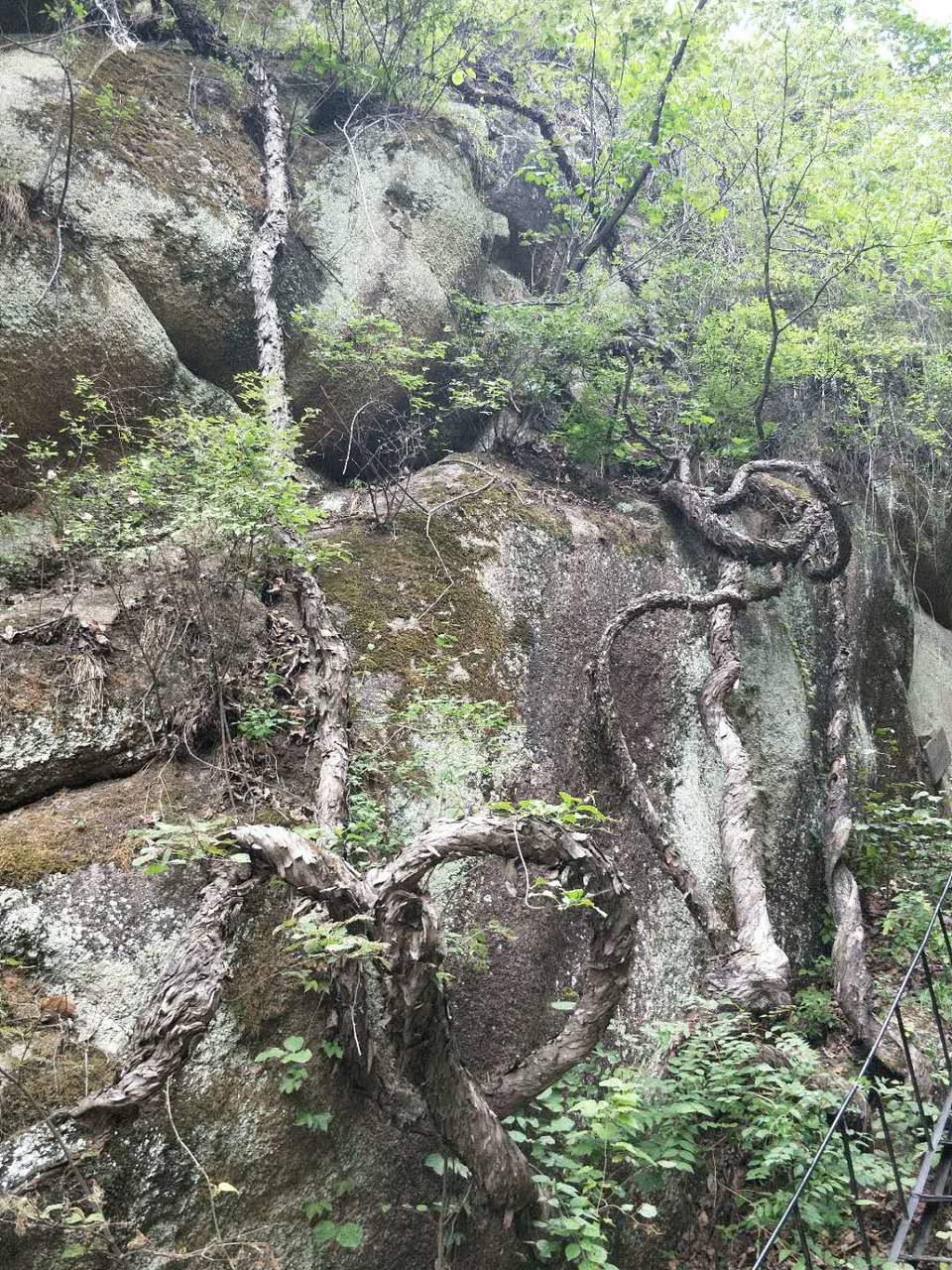 kkb-cQ8JxJIQiz4xsGhX0_k_mCv7jTg4ZbrzcAvtatYp51D59L5BR60PWhVZ8RUA