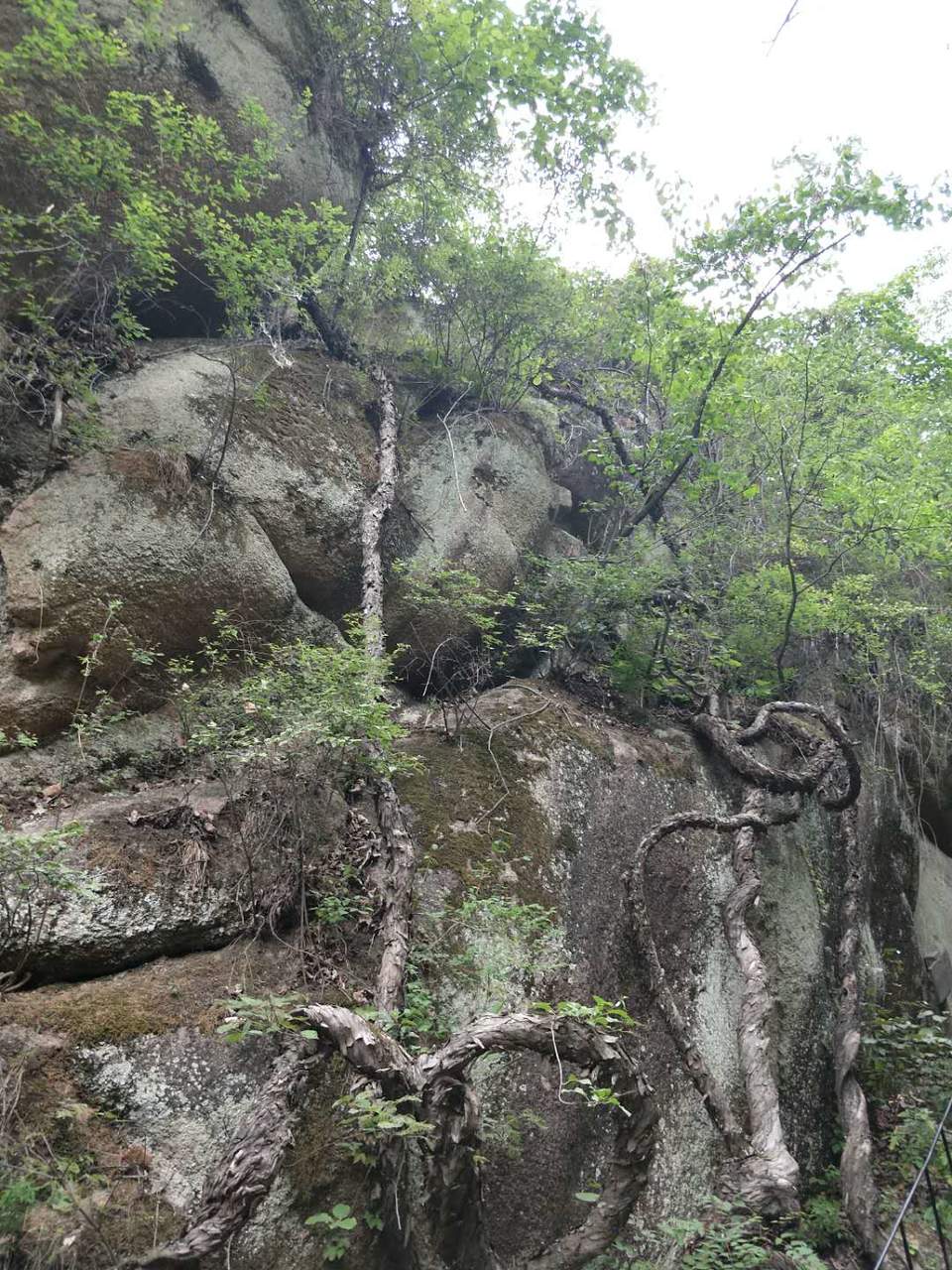 hBQlChibDodUqZcDvQXGbVMRozewv15Y8yi94RalemynBm5VxWMPiOn10EwfDRF-