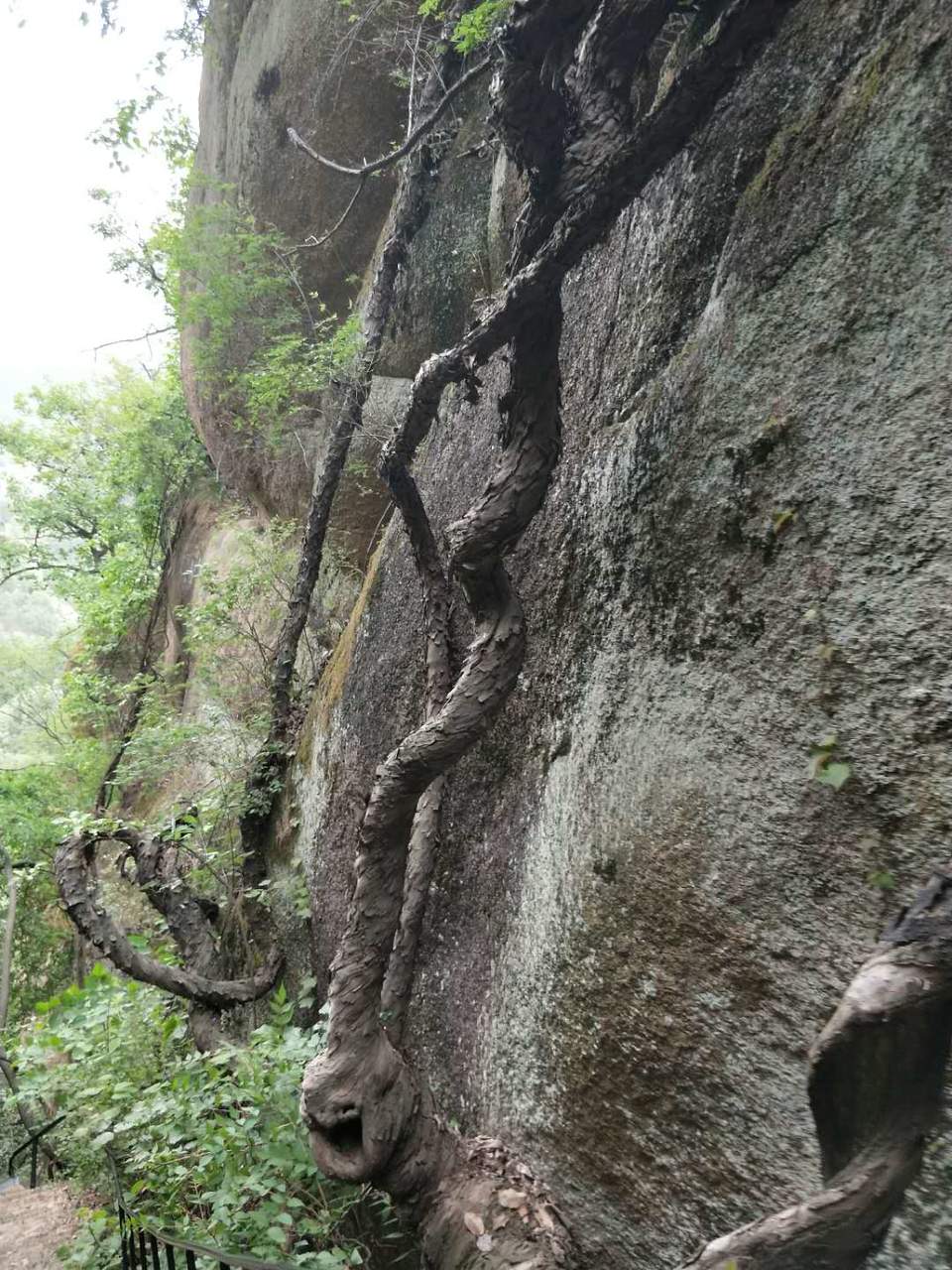 b2Ff16OcPQlpw-n3N00Zb0eROpkL0sJQMlEJTBLLk0LvRHS2xFrIL_tJvw9gnmjq