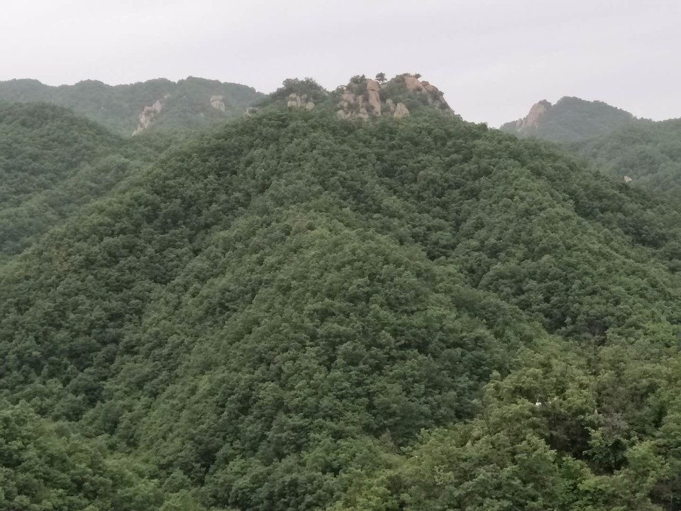 mGu9fdSBS-5wcpzhEeUx1gXwImTw19d98r73xLMURqEe1hMl29N_QWfQs1MKd_Ht