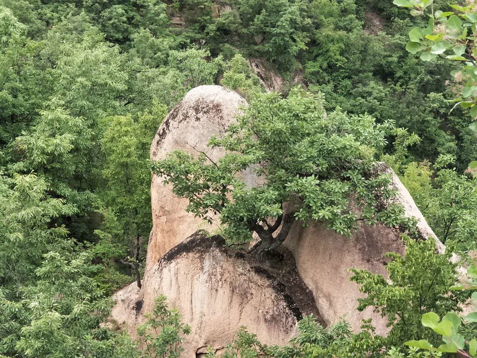 -rvpYnmLPauUWxtIY7fjK2mmSLskv6MAHLyZqdPMl_-5i1_YuMYTFKGJC8mh0ieU