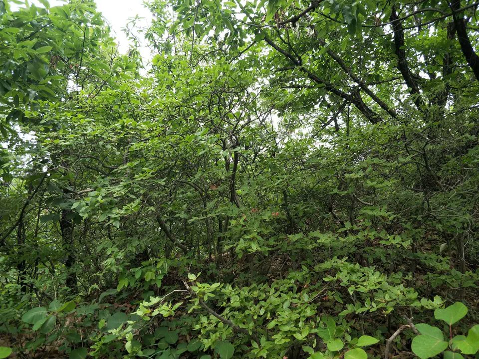 ogxD4A7Plquo7TVRmS5drTWW_ARspQ0G2kn_euZXM4VwSccZNkGLL027CGli8Gxl