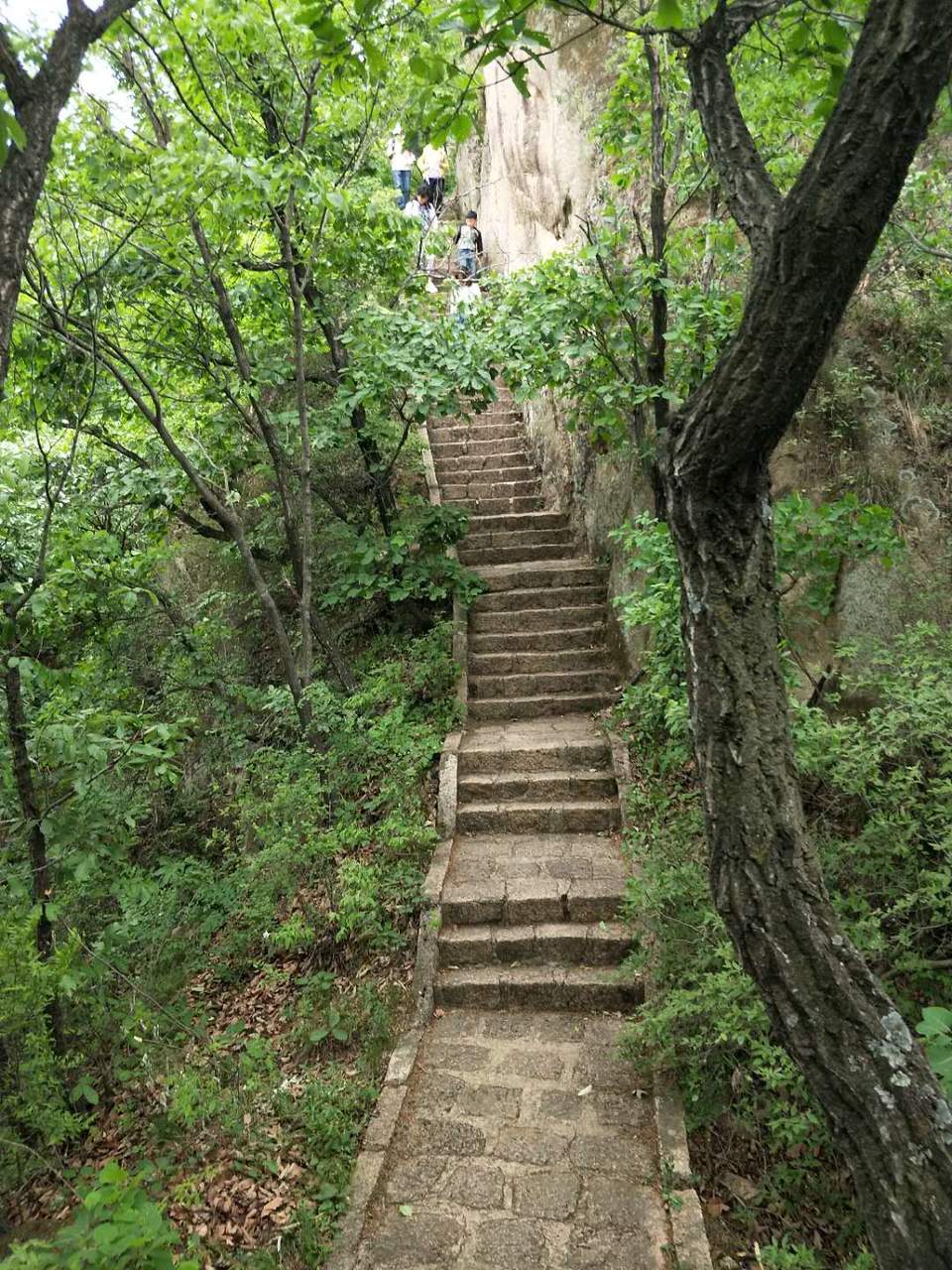 An2siTfdxvySkBalRGVhe4Sar6LRhHpXJCcpckZZP-KNuc6QiqcsqZqkyZkVIWTb