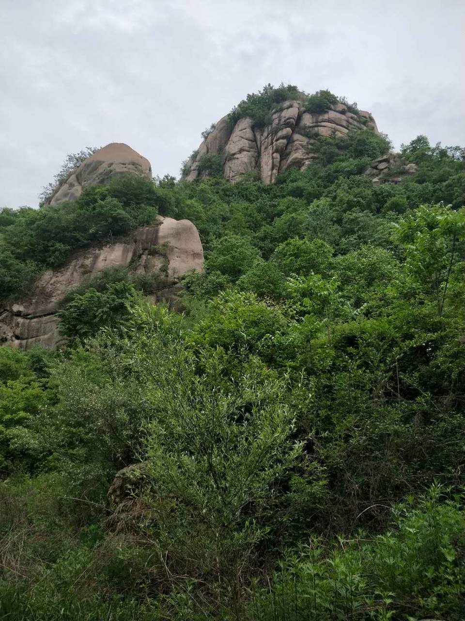 0rKuZwWVgv0EcvYLm5YUh8CFavCRldnjtkiY1OKmNecJVaU-Nww3scL3ebqOc2Jh