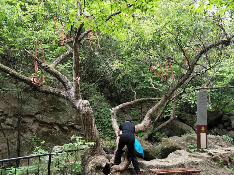 UJiiFw6JxS4qyNub9RuMc5votOeCGFzcunxpfpE-e-uVDhVUDHjY6jOsR0hLVwQA