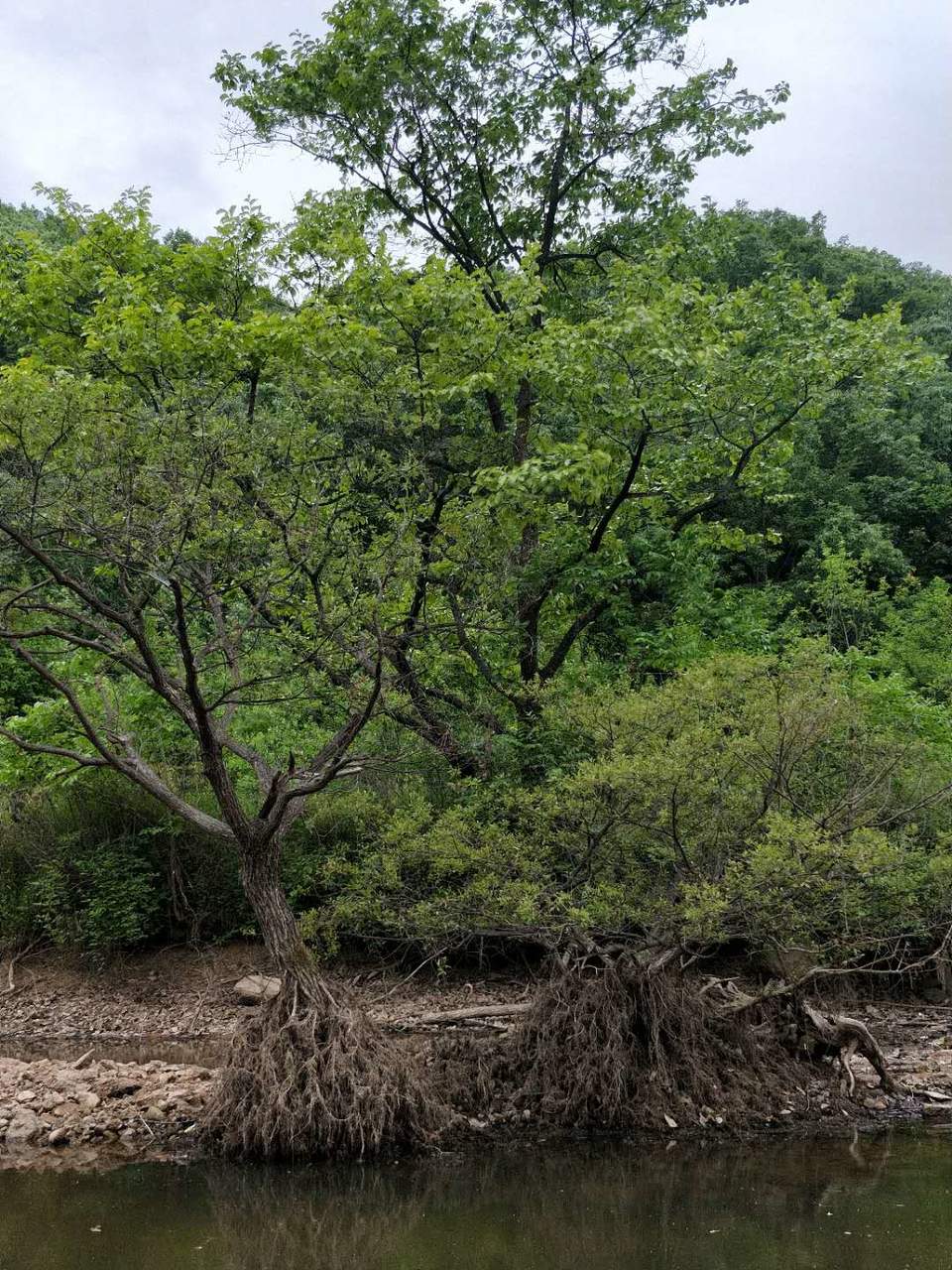 FQPQp3w4IajGSHjUGmg0ozxN9tgoCHEva61KNi-eIx0T9ZDmI8zuk_xIM0xMLTxd