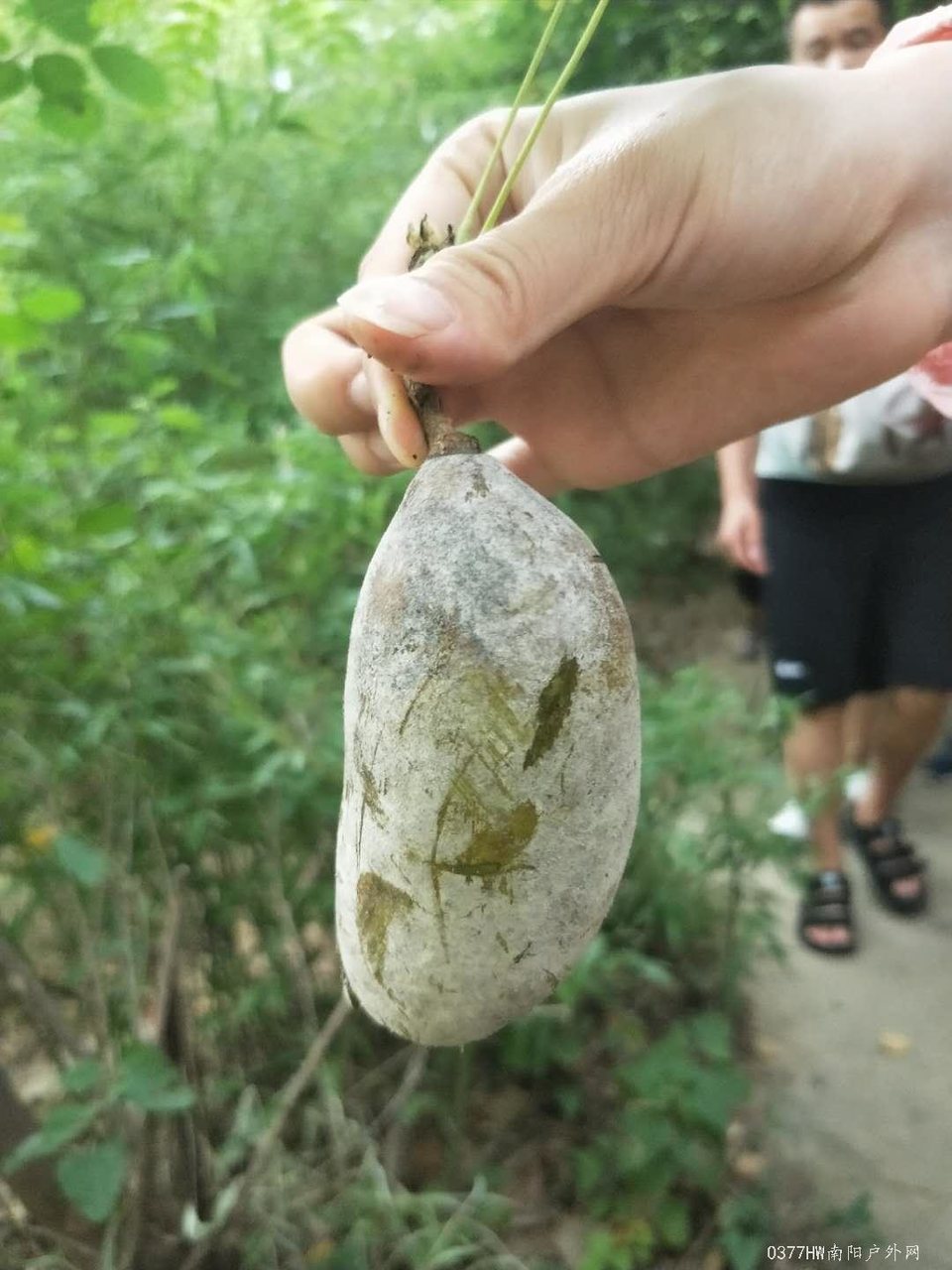 C5i_eLO0_kP__7ko8mqlFqHjuejVgG-WZyZC-YVHbEWSiSJQJwz8PoS0_e2uqf-7