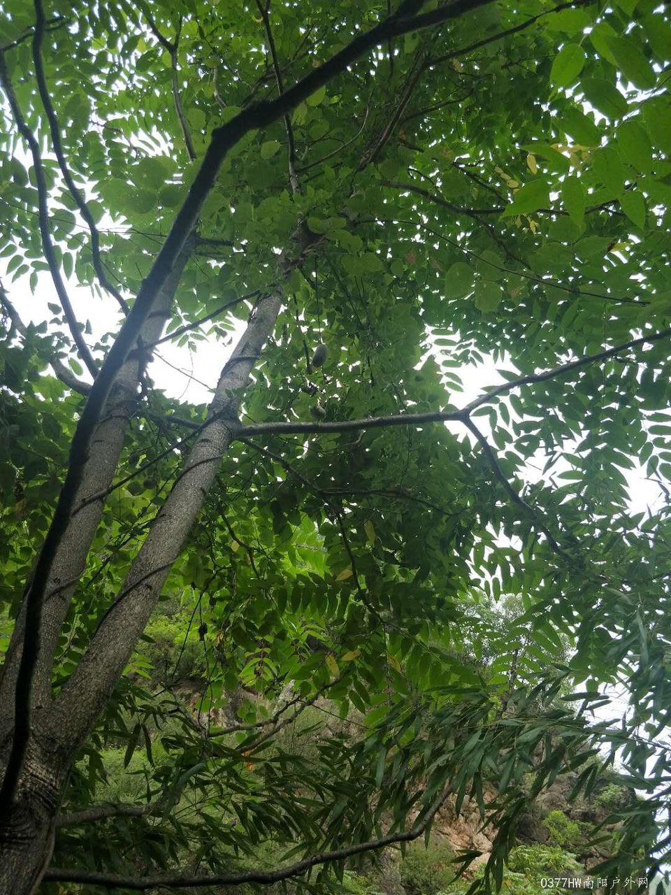 -jdQot5Bg5zelUoMSoh_oaM6ut8naZgUgmS66bm9FDAGH4-rKIraEM1q60HiIhBG