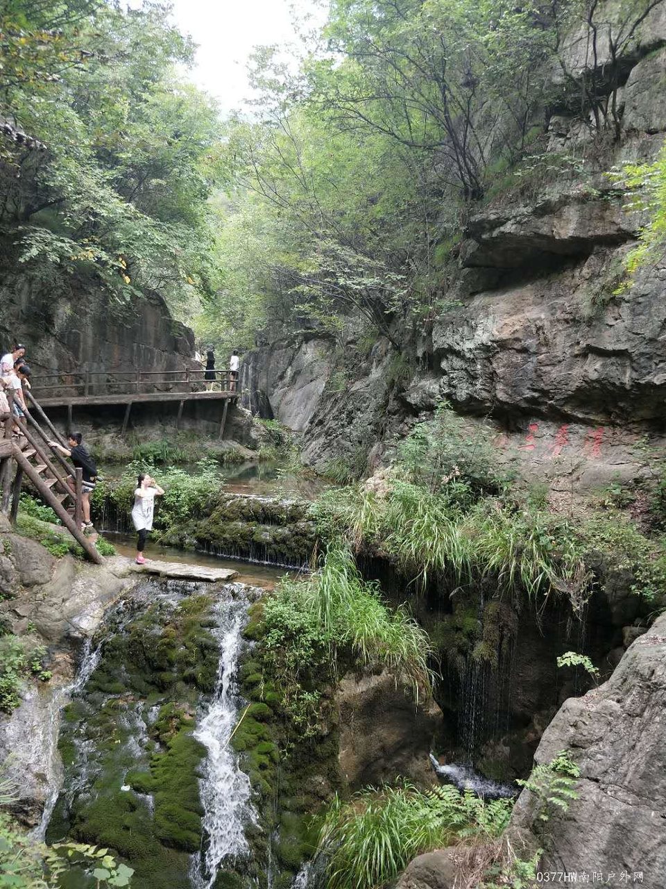 LC2n5TqdDDkVSrvOEEbENv4OxhosrQx67U6JcPC8DI13fpa-PduydNkSNoPxwE84