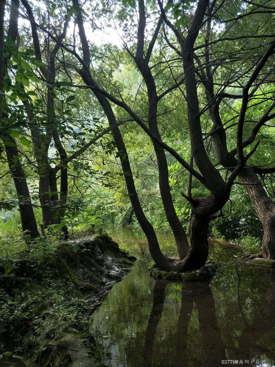 6JX3EVlxIoRDKwIzcFNvFKltE__0lJrzpLWyIrBksuXeigizV0f1ByctytqlLK_A