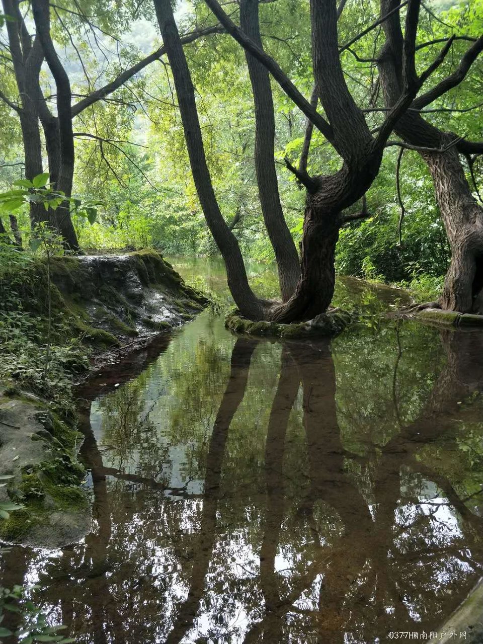 2O2KhdTuHguTvqjFYWnt0AF3JBP29GydaEhEwWYUMMYwoWLrKFOXT3wTzDI4gU0O