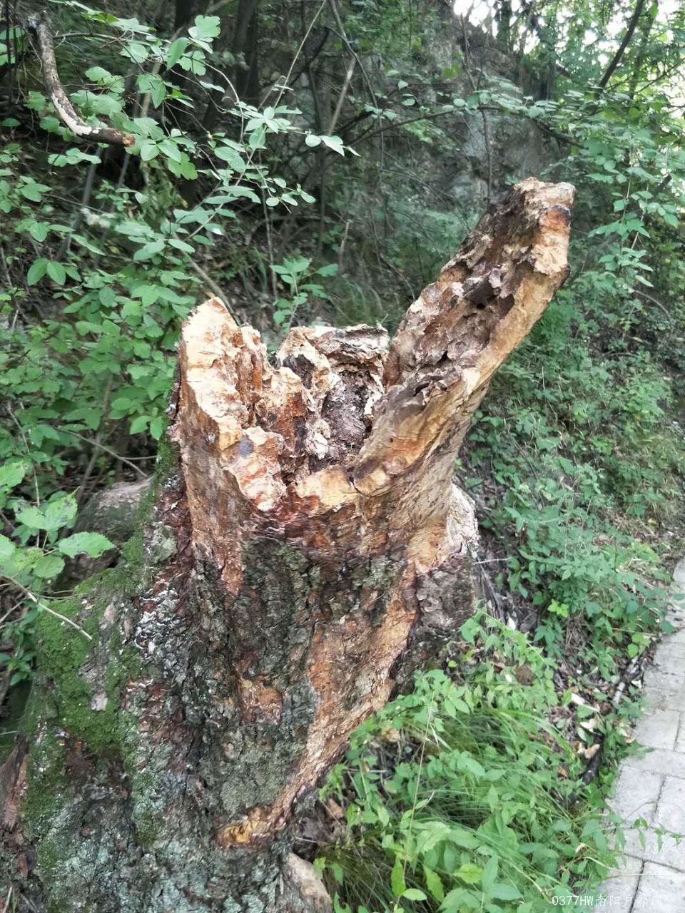 haJ93m12HxNVBsjRl2VMBA3yGuYYEpkOSuvVnfoTwldL7Ry9U0A4bsJPmQ8W54u4