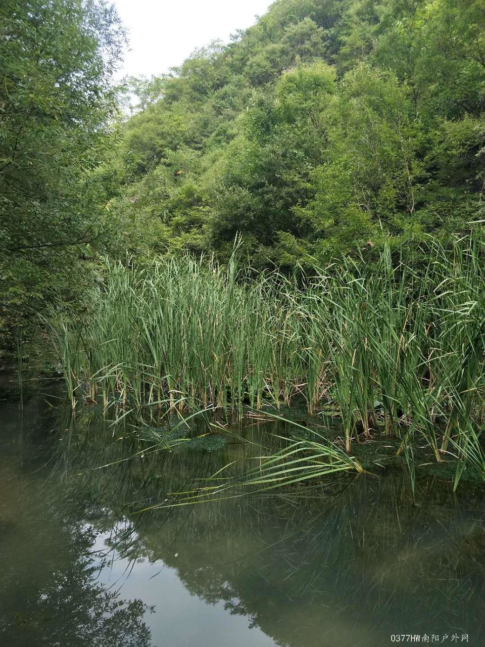 V2fK34e7yhemELeHCR1h0VHLy_Cgp98m6O-Yng0Z67HjZ84xsuNfNtaV8F9llIBG