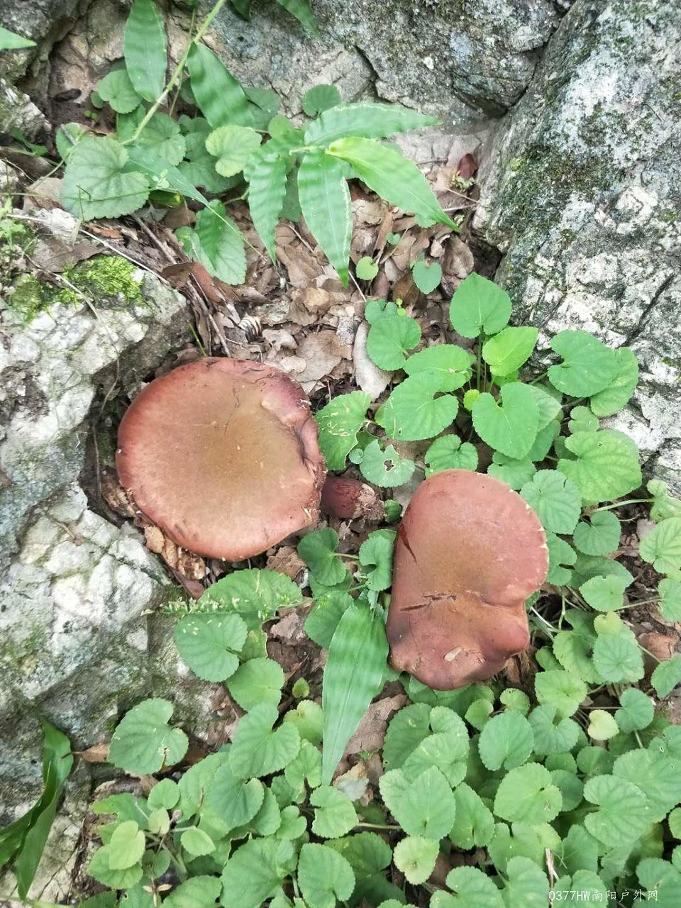 5YrIWz89oD-Npx3skuX6RozDwzewCGMUU8XuOgvv64i19OTLtPnqeD4WHexN8Bkv