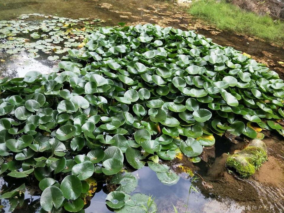 5fkJsILb3jzXsq-rgSUh-ztis_-_wKd_o6BclO1F9Zoq8ftIbr0rQmaoh00WOXqb