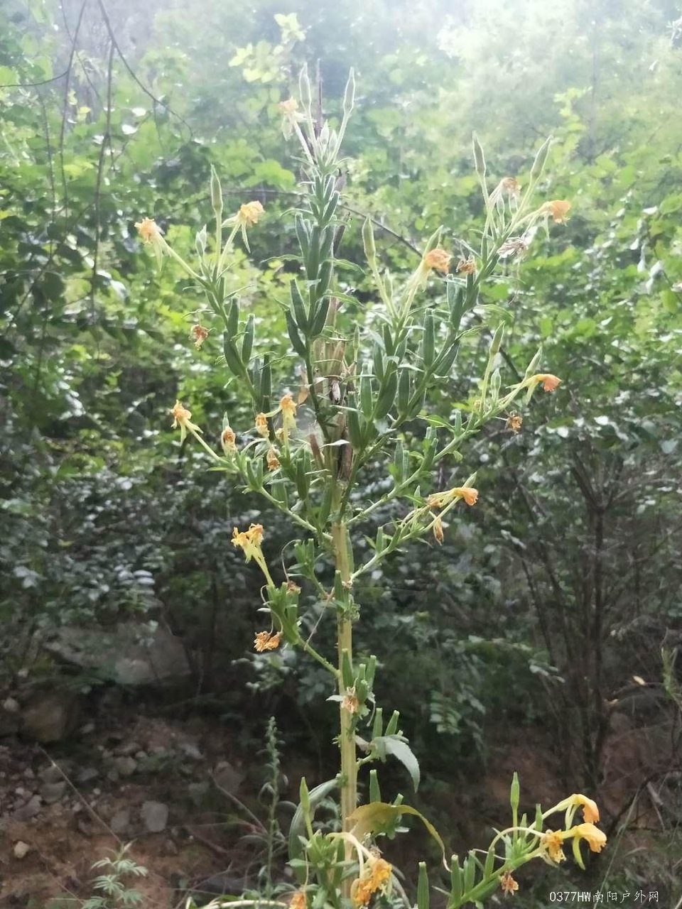 Mctul0sqETWTciHvtnl7ah_rBBrgLoJsxJV9R8GZsMsCez9bhOyxL_t4wUrDnEpG