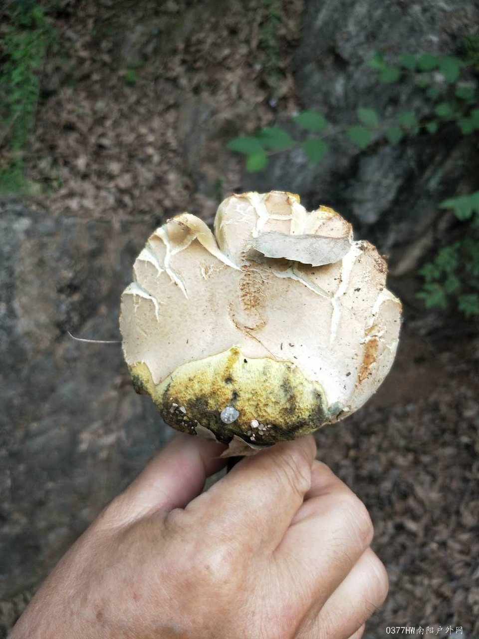 rn38nCnxIaOCPi86j5wxV1UcVd_kh4UL4hbkXmJefLDlFhLz5kk_ciKuSQ7FA__C