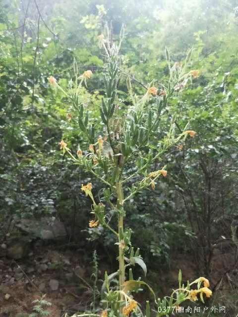 CKI67I8duVxUjdOrq-B2SjpPKlqCJcE6obUgMFpdQ2J4uvechWSEck7y3RzFVi7b