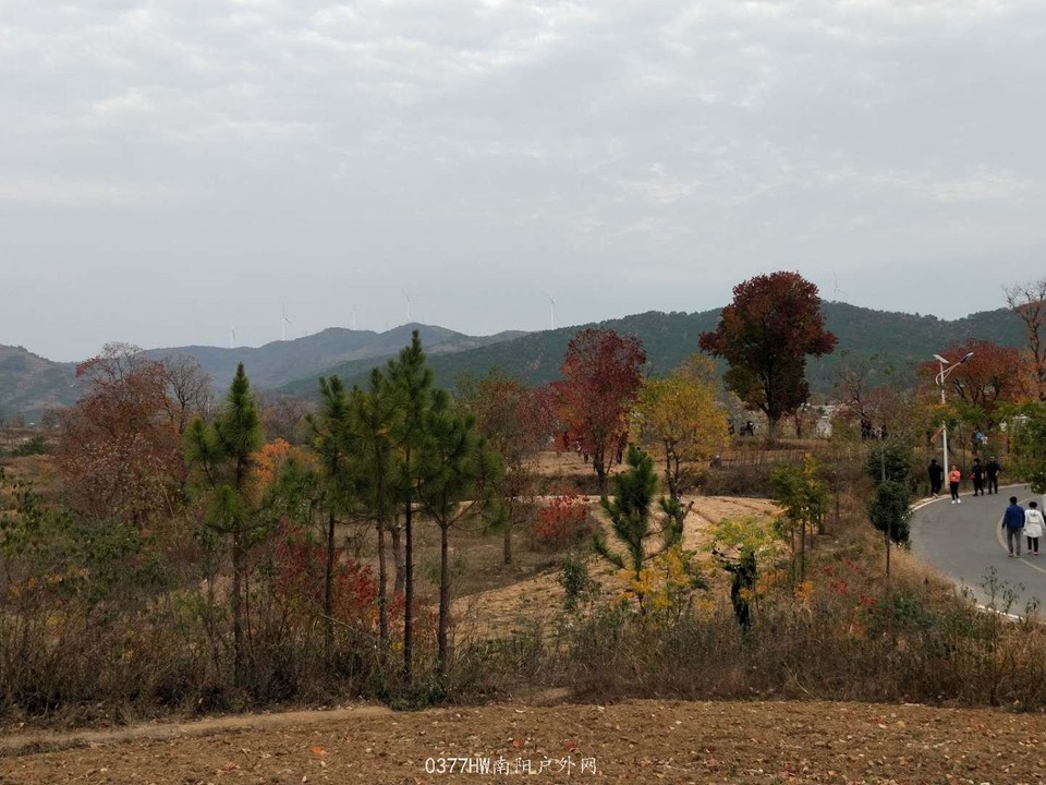 JT9-Fp_I976K93eX0TyiA0PiEWV2o3vLwiexePityH4xjj00xyg57Ls8gJCvIpdd