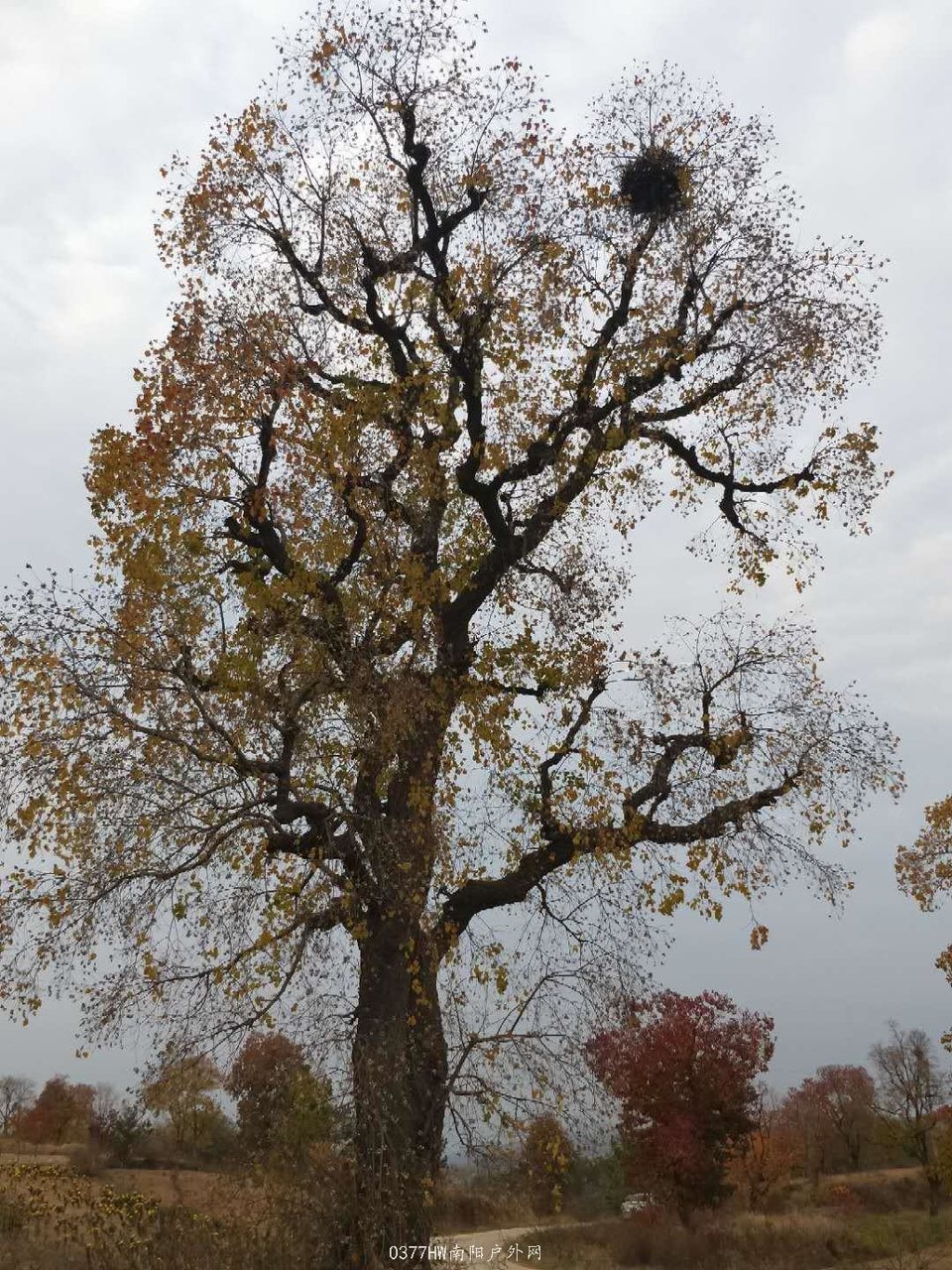 BgQgzfL-afKRQQ4ZglOqf5wOA_WZPYqyECVbDIWQANiutwJBejuBMzY4YLVeRQMu