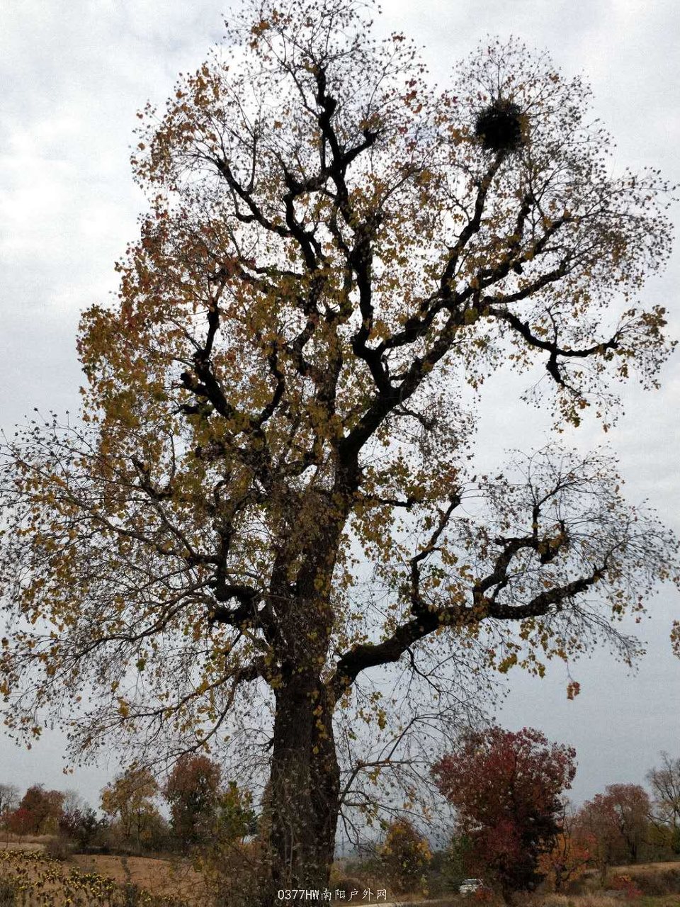 6lwFO0-Q5vRD6B0mziDnNAG8gxv2ubEcXcyfHRy7tdFOoRXNQMBw8YFGfO5ULbms