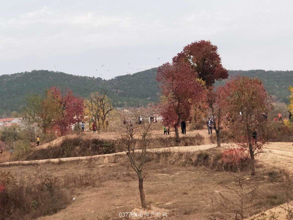 OIE34TzU79ev_I_qd3-uFW21zn2ajRnYTizi4eazR1mvCTCU_KqzOZJku-6e-vUp