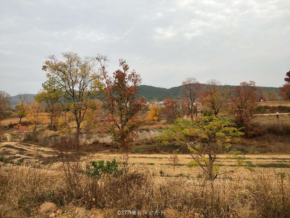 uCW0h-zj-v6h8A7nH46M4dZwsrgVVJNpVmdGoJJ9mpqOsmZzgpAJ8ZHzdV3Lf3mC