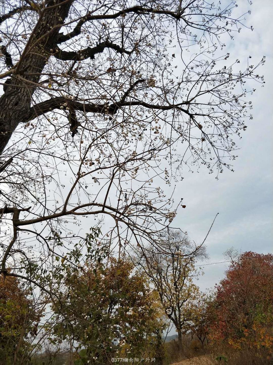 0DWWvD3KXNBPdl5sUsmAmoidQT7ggzd-HPEub5zL_jzVDRSBMBGXdjVWCjxxok4-