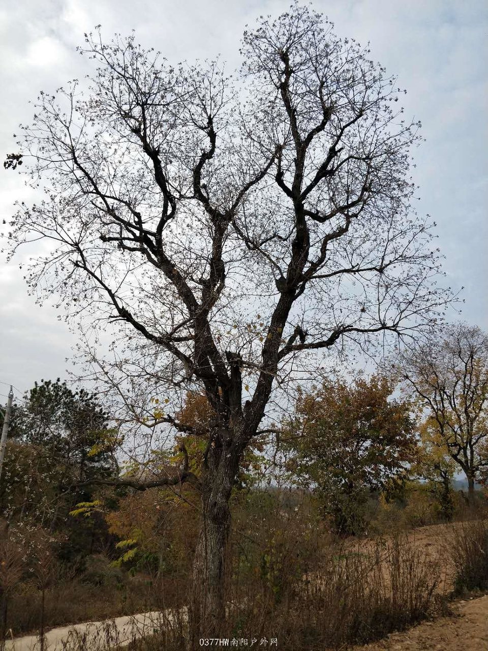 UYbeovOWzh4ZIxReFO7CCkBnVDbq0D6cOlRdLiRbkdUgurId-hOHCw2K7rp_iSns