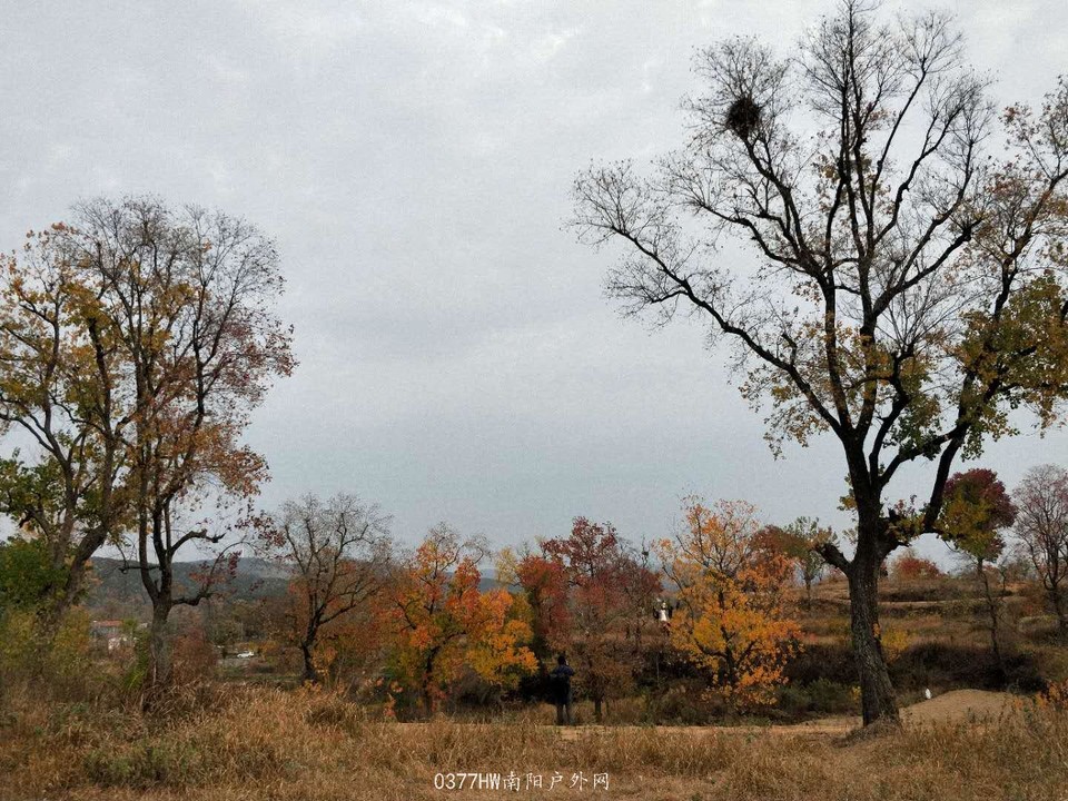 dlsKGaHBfWRTI_1tNptChO_MVOcaX4UumfgZHDJfCjgcPNxn1WECIEKRSLxJLScy