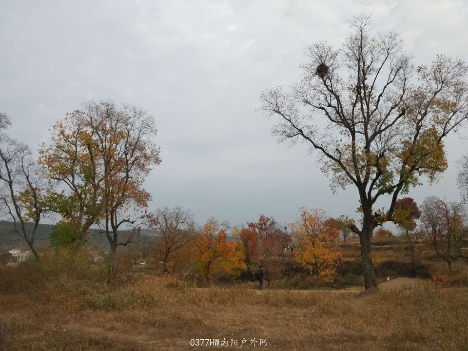 rmptf81cjNRC_YX1VglVYHqPRsSwu84giAreplEPpFzgi8vUWoLCI_7zHMcWVHzZ