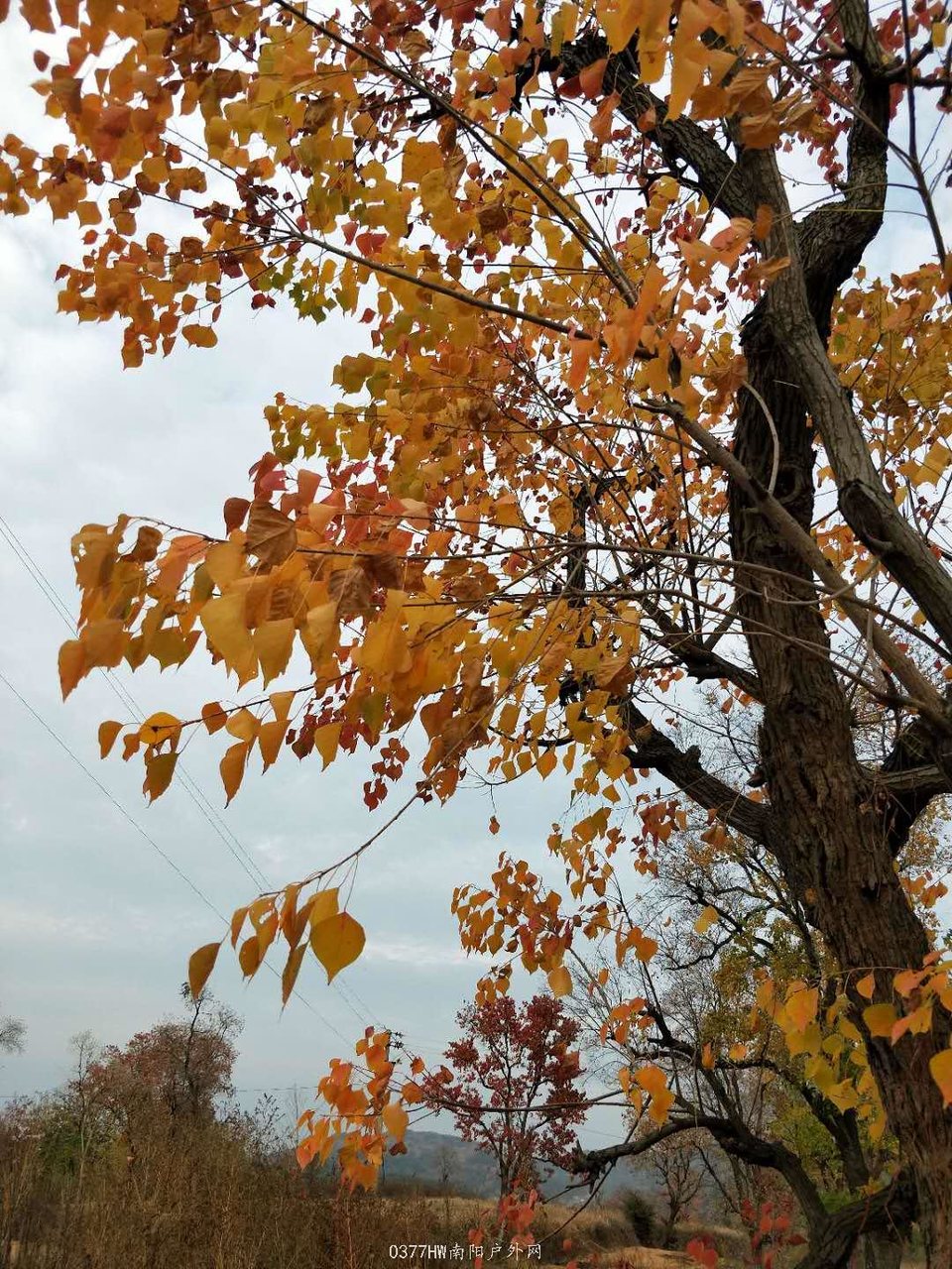 AAfqVVoI0zcVbGI6_xPwqXTxKIlPuYCOH9E9QfXYXB-g0SUmXXIQadLCukOa9DEm