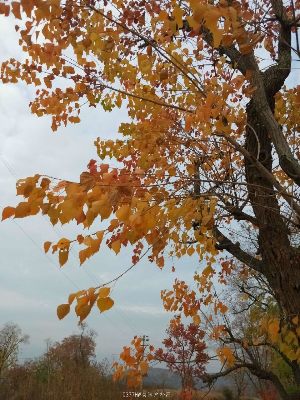 PRnsTNA_W6DkXu7FurnfbULR4jwDi1EHhifkkrPPFoPDObW5x2bP6Vjs18n7uMl_