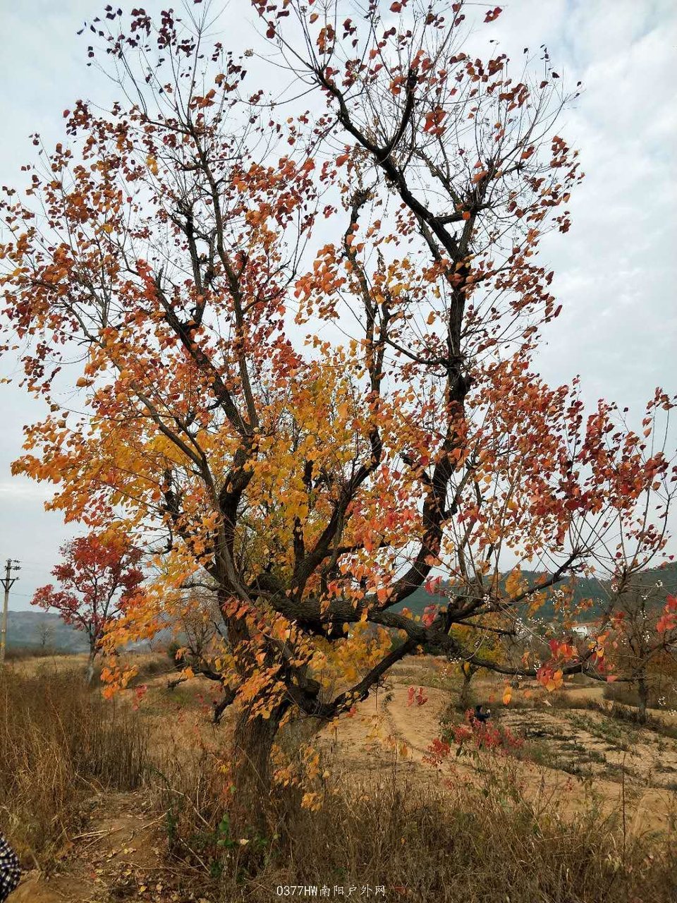 cLfIVTLsVlDfP-DBvVX5ygsx8hxnsZH0DpMMWC1r3hHjbNWQvMrZ0UW8bYnDp_rg