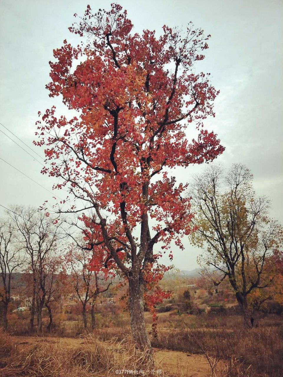 Da9ZguIJ7M5Y1wusChtb-69wZUASvwDSJCpv4Zz776jgVZrLIm1w8n04ZC8bj0tt