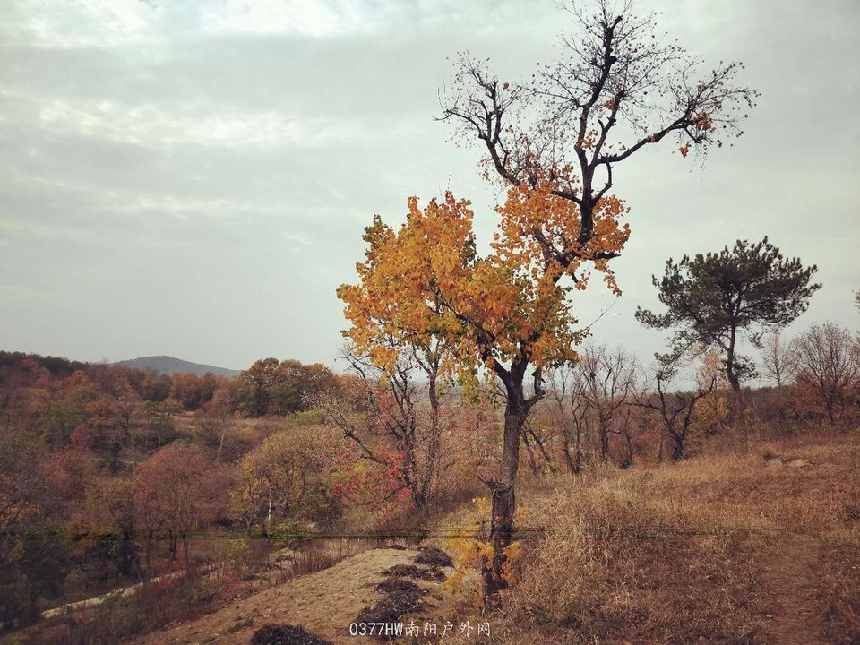 zgJfTC3QQGzmfahlCVZd6nL7593hSU67UiVE_f_MQ3Xh7nkWSIc5ntpqj0TNxOrG