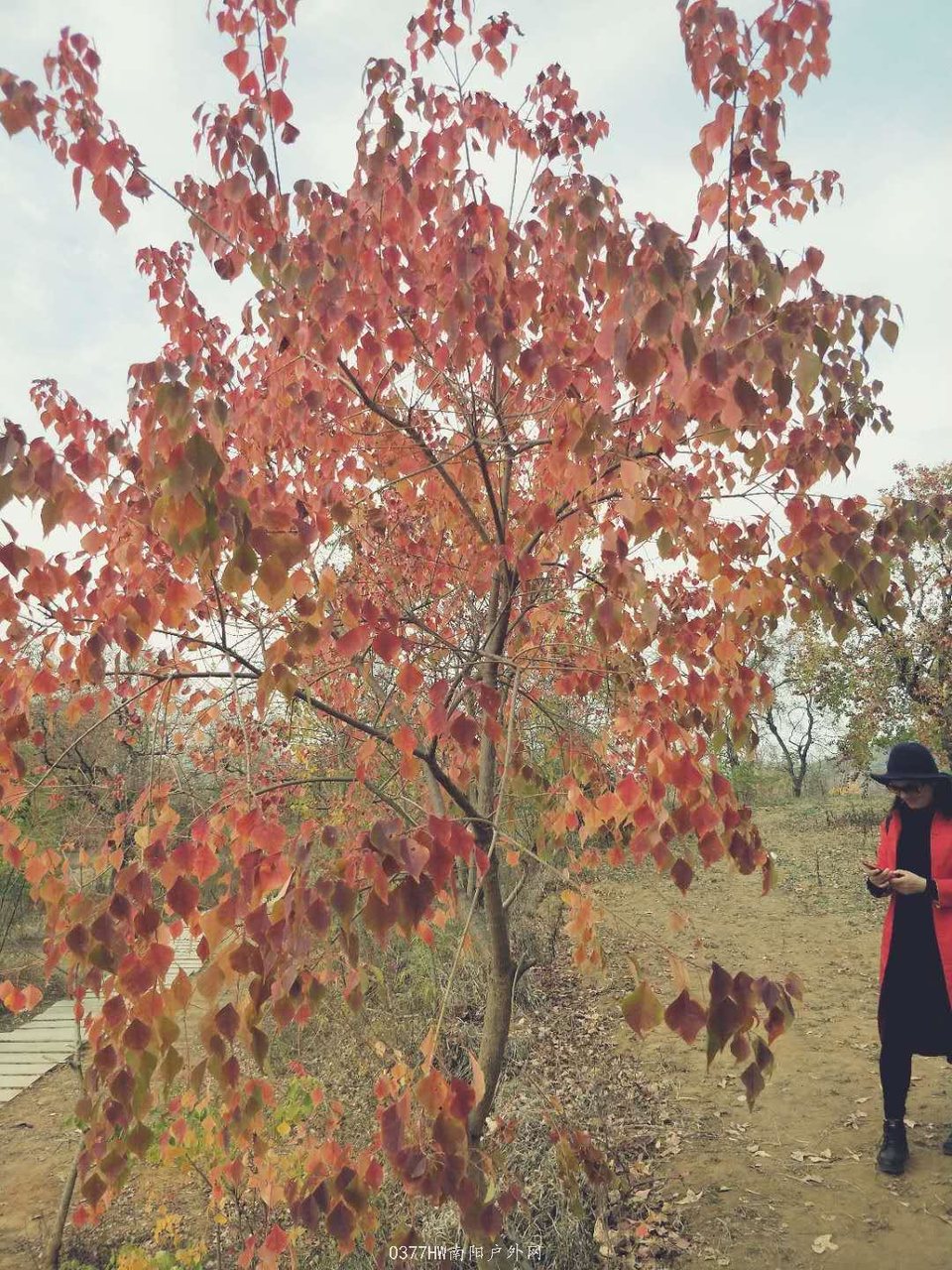 1PPnQ-13n7sRJjbraDSEYYeZNKP-U6K-06sDn1EL0ajASkGrMrw6i7G-9fcx9coH