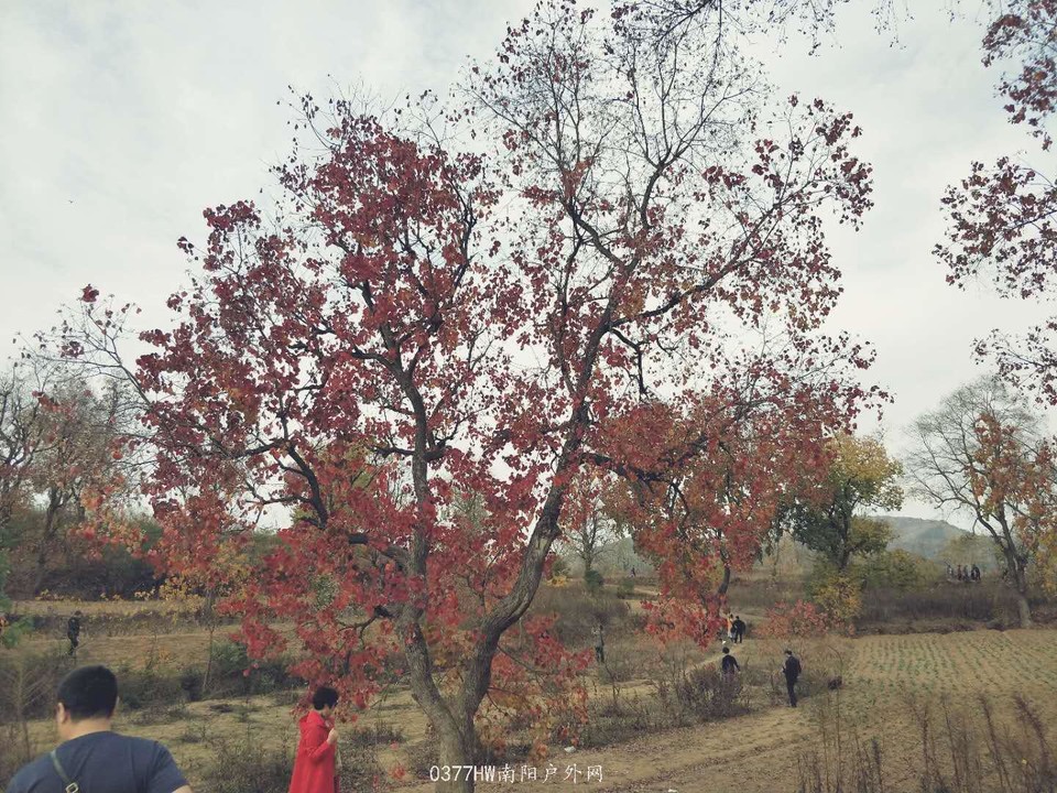 AH2LBu14TiZbhuqsMayXo6Hu9kcykXXXpH6cOPLVNcjTL-TImLixOvgI9GPtzuhs