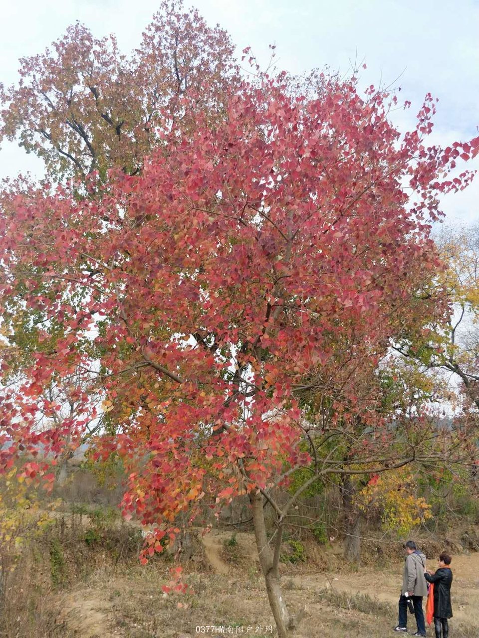 0SZCl7D7xTGPIzXZ7zGO8K2kfsgMU34dmoTzglSncYkZwXCN-oW4fW1BPFz70kI5