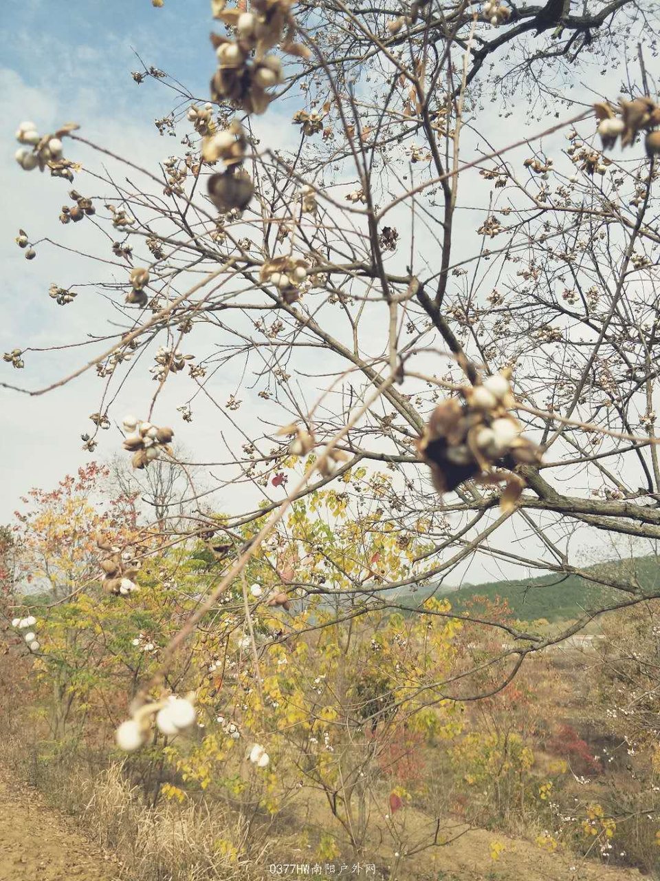 hELKH9oeVsu9OVz8YrHKjtStIS5IblzvmLH3-yohZ9wFJuwzXrlaUy3IOrY_FqHk