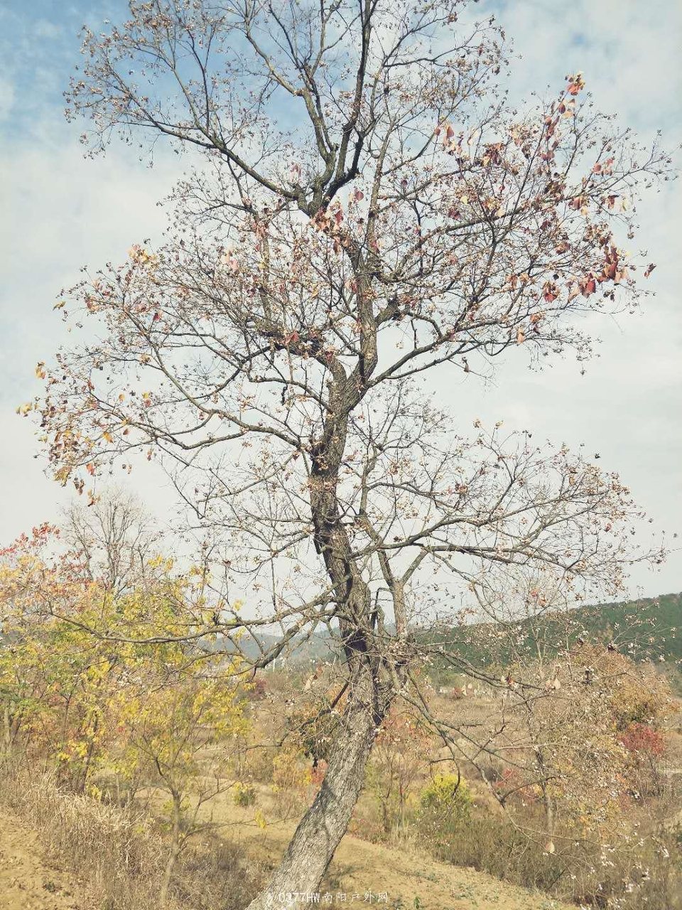 rwVlp48R7gFIiSkSzyyuqRbkFMnrfQ8Jz20qhwCS8owDaJksLg2_VNer-59731ze