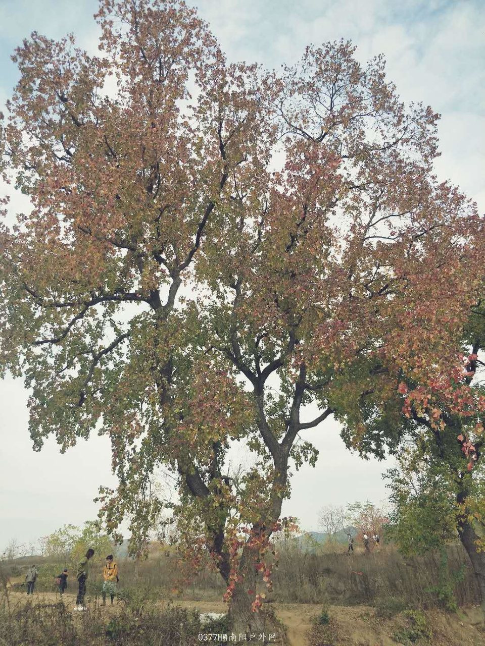 cXcnr79znd8_bv7q_tppsSxdPqRiEF17llXBW8td2uMA9WOHu7eGAuQcm9KOjYhD