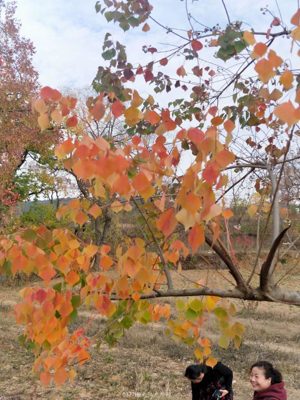 rDHyMwYIAACHxfoNStm60yJ0X472USAjPCTscFVdWNf2p17su20ei2kN-Gsfqt4E