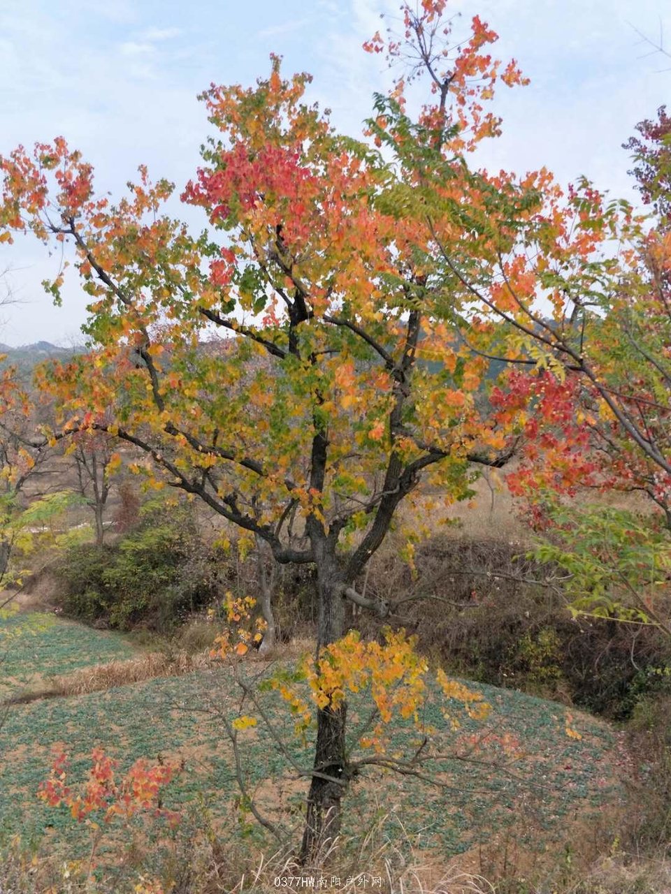 7P6ZOZYzaEyQ2oyclS_Y9gDAufKVZ1rDKtXt8B6N_ztKXntM5bhMiAlUxW_56ZWF